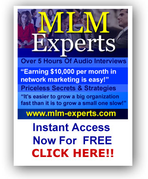 MLM-Expert-Interviews